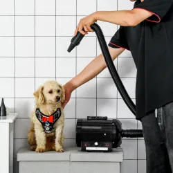 Secador de Pelo para Perros 2800W Secador para Mascotas con Temperatura y Velocidad del Viento Ajustable 3 Boqui... - Ogal.Es
