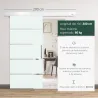 Puerta Corredera de Cristal 90x205 cm Puerta Corrediza Deslizante con Riel de Cristal de Seguridad Translúcido - Ogal.Es