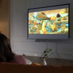 Pantalla de Proyector Manual con Soporte 84 Pulgadas Pantalla de Proyección Portátil Formato 4:3 para Interior y... - Ogal.Es