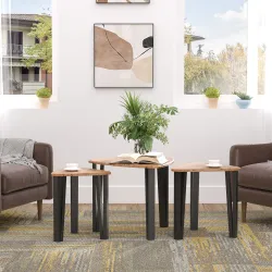3 Mesitas de Café Mesa de Centro Minimalista Patas de Acero con Funda de Plástico Mesa Nido para Salón Sofá 56x5... - Ogal.Es