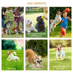 Conjunto 4 Obstáculos de Entrenamiento para Perro Set de Agilidad para Mascotas Estable Altura Ajustable de Aro ... - Ogal.Es