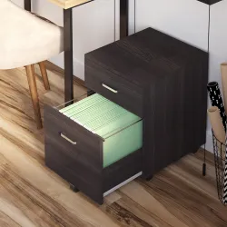 Archivador Móvil para Archivos A4 con Ruedas Gabinete de Archivos Suspendidos 2 Cajones Cerradura 40x45x55,6 cm ... - Ogal.Es