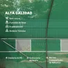 Invernadero de Exterior Invernadero de Túnel 8x3x2 m Invernadero de Jardín con 12 Ventanas y Puerta Enrollable p... - Ogal.Es