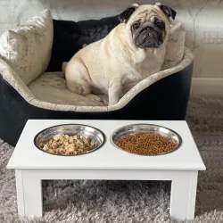 Comedero Elevado para Perros con Soporte y 2 Cuencos Extraíbles de Acero Inoxidable Alimentador para Mascotas Al... - Ogal.Es