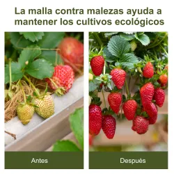 Malla Antihierbas 2x50 m Malla Antimaleza Malla Geotextil contra Malas Hierbas y Malezas 100 g/m² para Jardín Negro - Ogal.Es