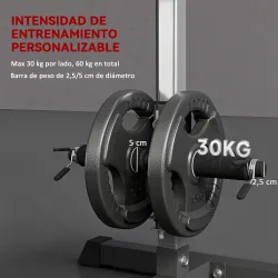 Máquina de Musculación Estación de Entrenamiento para Jalón al Pecho con Polea y Asiento Regulable para Entrenam... - Ogal.Es