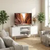Mueble de TV con 2 Puertas 2 Estantes de Almacenamiento para Televisores de hasta 55 Pulgadas 120x34x50 cm Blanco - Ogal.Es