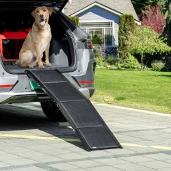 Rampa Plegable para Perros de Aluminio con Superficie Antideslizante Asa y Gancho Carga 80 kg 158x43,5x2,5 cm N... - Ogal.Es