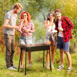 Barbacoa de Carbón con 2 Parrillas de Acero Inoxidable Barbacoa Portátil con 2 Especieros para Camping 94x39x70 ... - Ogal.Es