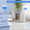 Deshumidificador Eléctrico 12L/Días Silencioso con 4 Modos 2 Velocidades 29x18x49 cm Blanco - Ogal.Es