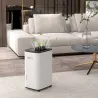 Deshumidificador Eléctrico Depósito de Agua 6 Litro 20L/día con 3 Modos 2 Velocidades Temporizador 33,5x26x53 cm... - Ogal.Es