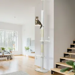 Árbol Rascador para Gatos de Suelo a Techo Ajustable con 3 Plataforma de Forma de Nube y 2 Bolas 48x32x225-255 c... - Ogal.Es
