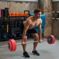 Set de Musculación con 1 Barra y 6 Discos Barra de Pesas 30 kg con Mancuernas para Entrenamiento 170x26x26 cm Rojo - Ogal.Es
