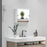 Armario con Espejo de Pared con Estante Ajustable y Puerta Corredera Doble para Lavabo 55x15x45 cm Blanco Brillante - Ogal.Es