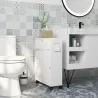 Armario de Baño Mueble Auxiliar con 4 Ruedas 2 Agujeros para Papel 2 Armarios y Estantes Ajustables 52x17x67 cm ... - Ogal.Es