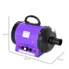 Secador de Pelo para Mascotas 2800W con Temperatura y Velocidad del Viento Ajustable 40x16x20 cm Negro y Púrpura - Ogal.Es