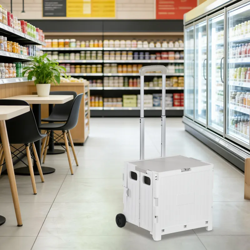 Carrito para Supermercado con 2 Ruedas Longitud de Mango Ajustable Capacidad 32 Litros 41,5x32,5x85 cm Blanco - Ogal.Es