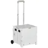 Carrito para Supermercado con 2 Ruedas Longitud de Mango Ajustable Capacidad 32 Litros 41,5x32,5x85 cm Blanco - Ogal.Es