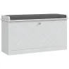 Mueble Zapatero con Banco con Estantes Ajustables y Cojín Acolchado para 8 Pares de Zapatos 80x26x48 cm Blanco - Ogal.Es
