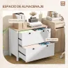 Mueble Archivador con 2 Cajones 2 Barras Colgantes Cerradura y 2 Llaves para Tamaño A4 79x40x72 cm Blanco y Roble - Ogal.Es