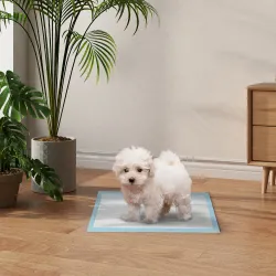Empapadores para Perros 100 Unidad 45x30 cm Diseño de 6 Capas con Superficie de Secado Rápido a Prueba de Fugas ... - Ogal.Es