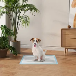 Empapadores para Perros 100 Unidad 45x60 cm Diseño de 6 Capas con Superficie de Secado Rápido a Prueba de Fugas ... - Ogal.Es