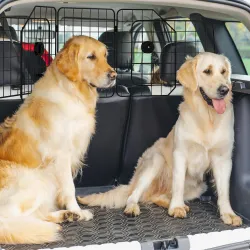 Barrera Protectora de Coche para Perros con Anchura Ajustable Rejilla para Perros de Coche Plegable 93-150x42 cm... - Ogal.Es
