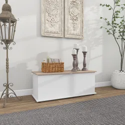 Arcón de Almacenamiento con Tapa Carga Máx. 120 kg para Dormitorio Salón 100x40x40 cm Natural y Blanco - Ogal.Es