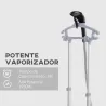 Plancha de Vapor Vertical 1950W 2 L con Temperatura Ajustable en 11 Niveles y Barra Telescópica Negro - Ogal.Es