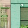 Invernadero de Exterior con Ventanas de Malla y Puerta con Cremallera para Cultivar Plantas Flores 196x77x197 cm... - Ogal.Es