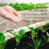 Malla Geotextil 2x25 m Malla de Jardín contra Malas Hierbas 60 g/m² Rollo de Malla Antimaleza Negro - Ogal.Es