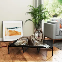 Cama Elevada para Perros Grandes Cama para Perros con Zona de Malla Transpirable y Bolsa 122x92x23 cm Negro - Ogal.Es