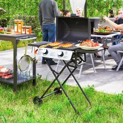 Barbacoa de Gas con 2 Quemadores 5,6 KW Tapa Termómetro Mesas Laterales y 2 Ruedas 101x50x102 cm Negro - Ogal.Es