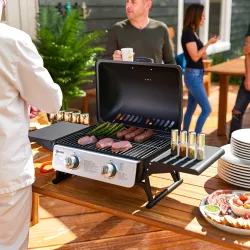 Barbacoa de Gas Compacta con 2 Quemadores Termómetro Estantes Laterales Plegables y Bandeja de Goteo 101x48x41 c... - Ogal.Es