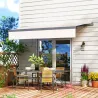 Toldo Manual Retráctil para Jardín con Manivela Protección UV Estructura de Metal y Aluminio 295x200 cm Crema - Ogal.Es