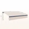 Toldo Manual Retráctil para Jardín con Manivela Protección UV Estructura de Metal y Aluminio 295x200 cm Crema - Ogal.Es