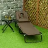 Tumbona Plegable con Respaldo Regulable 4 Posiciones con Orificio de Lectura Almohada Tela Oxford 190x56x28 cm M... - Ogal.Es