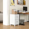 Archivador con Cerradura y 2 Cajones Barras Ajustables para Carpetas A4 y Carta Diseño Compacto 40x41,5x67,5 cm ... - Ogal.Es