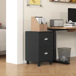 Archivador con Cerradura y 2 Cajones Barras Ajustables para Carpetas A4 y Carta Diseño Compacto 40x41,5x67,5 cm ... - Ogal.Es