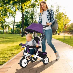 Triciclo Evolutivo para Niños +12 Meses con Toldo Plegable Mango de Empuje Telescópico y Cinturón de Seguridad V... - Ogal.Es