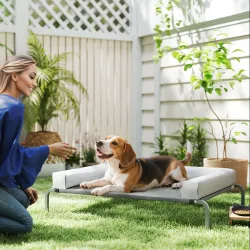 Cama Elevada para Perros Refrescante con Refuerzos Extraíbles Malla Transpirable y Marco de Acero 110x75x30 cm Gris - Ogal.Es