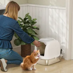 Arenero para Gatos de Acero Inoxidable XL con Tapa Abatible Laterales Altos Entrada Superior Pala Blanco - Ogal.Es