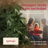 Árbol de Navidad Artificial 210 cm Ramas Realistas con Efecto Nieve Soporte de Acero Base Plegable Montaje Rápido - Ogal.Es