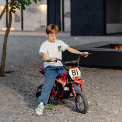 Moto Eléctrica para Niños 24V con Motor 250W Velocidad de 6-16km/h Ruedas de 12'' para Niños de 8-12 Años Rojo - Ogal.Es