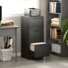 Mueble Archivador con 3 Cajones Cajonera para Escritorio con Cerraduras Carpetas para A4 y Carta 40x40x101 cm Negro - Ogal.Es
