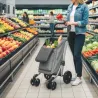 Carrito de Compra Plegable de 46 L Carro 3 en 1 con 6 Ruedas Bolsa Térmica y Asa Ajustable 44x58x100 cm Gris - Ogal.Es