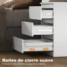 Cómoda 3 Cajones con Cierre Suave Cajonera para Salón Oficina Estilo Moderno 45x40x52,8 cm Blanco - Ogal.Es