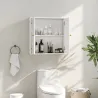 Mueble de Baño Colgar con Estantes 2 Puertas con Diseño de Arco Tiradores Dorados 60x20x60 cm Blanco - Ogal.Es