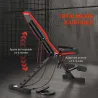 Banco de Musculación Plegable con Respaldo y Asiento Ajustables Extensión de Pierna Cojín de Predicador Banda Negro - Ogal.Es