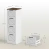 Cajonera Escritorio con 4 Cajones Soporte para Impresora con Riel Colgante para A4 y Carta 40x40x131 cm Blanco - Ogal.Es